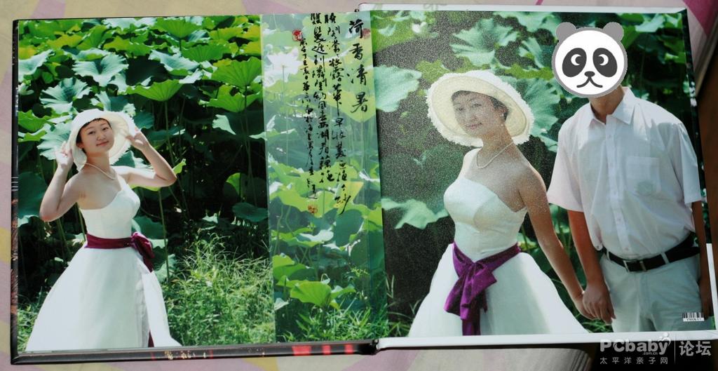 荷塘月色，哈哈，只能想想
